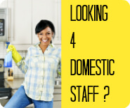 Looking 4 domestic staff